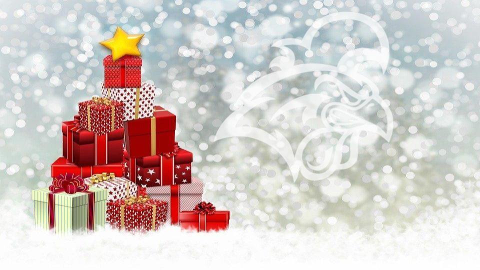 Ag Students Make Christmas Happen